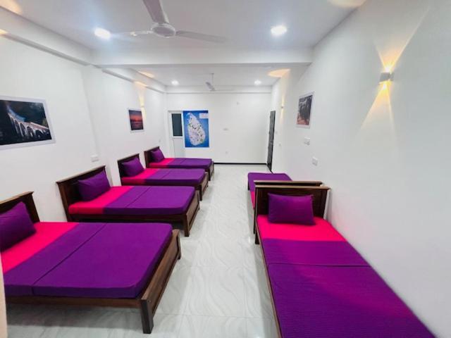 Concey Transit Hotel Airport view Katunayaka Exterior foto